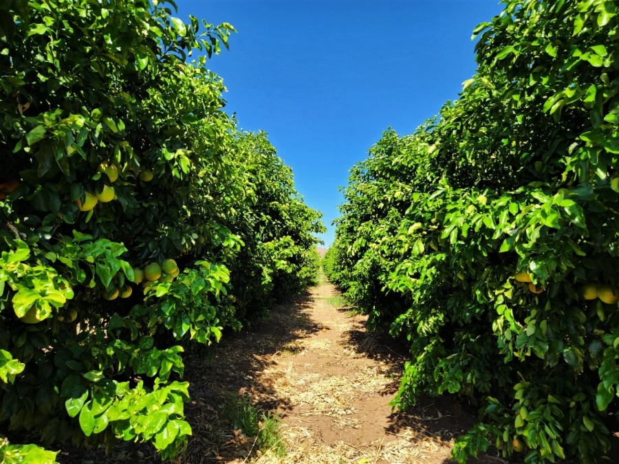 Commercial Property for Sale in Kakamas Rural Northern Cape